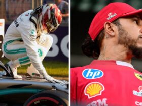 lewis hamilton net worth